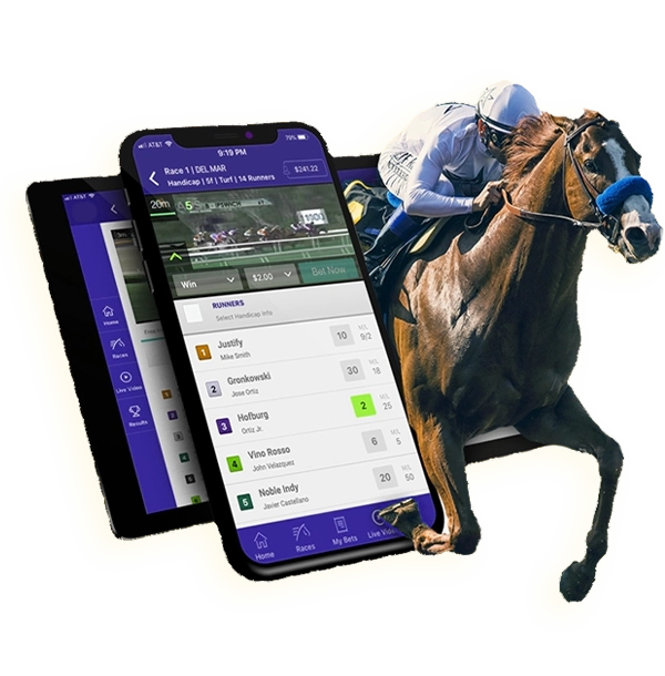 Horse Racing Betting Software Development Company Horse Racing Betting Software Development Company