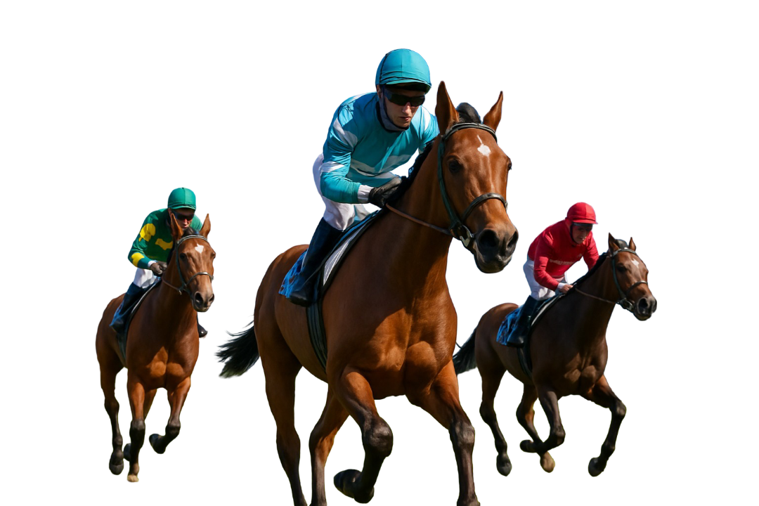Hire Horse Racing API Experts Hire Horse Racing API Experts